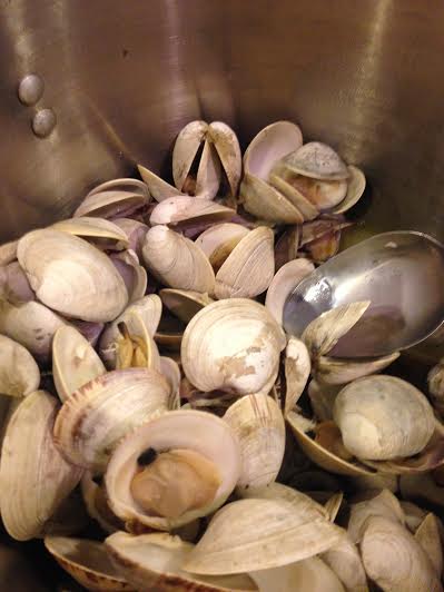 Steamed Clams 